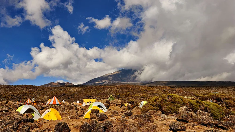 7 Day Climb Kilimanjaro Machame Route and 4 Day Tanzania Safari Tarangire, Serengeti and Ngorongoro Crater Are most best experiance for 11 Days,