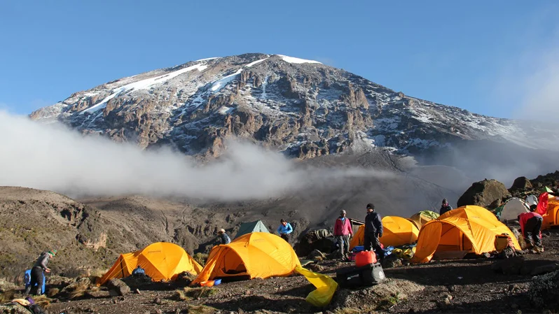 7 Day Climb Kilimanjaro Machame Route and 4 Day Tanzania Safari Tarangire, Serengeti and Ngorongoro Crater Are most best experiance for 11 Days,