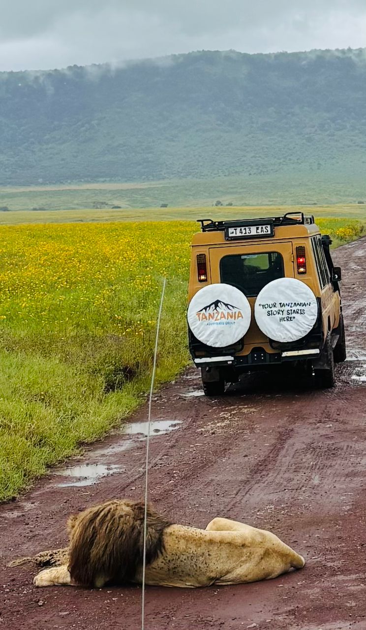 Short Tanzania safari from Arusha