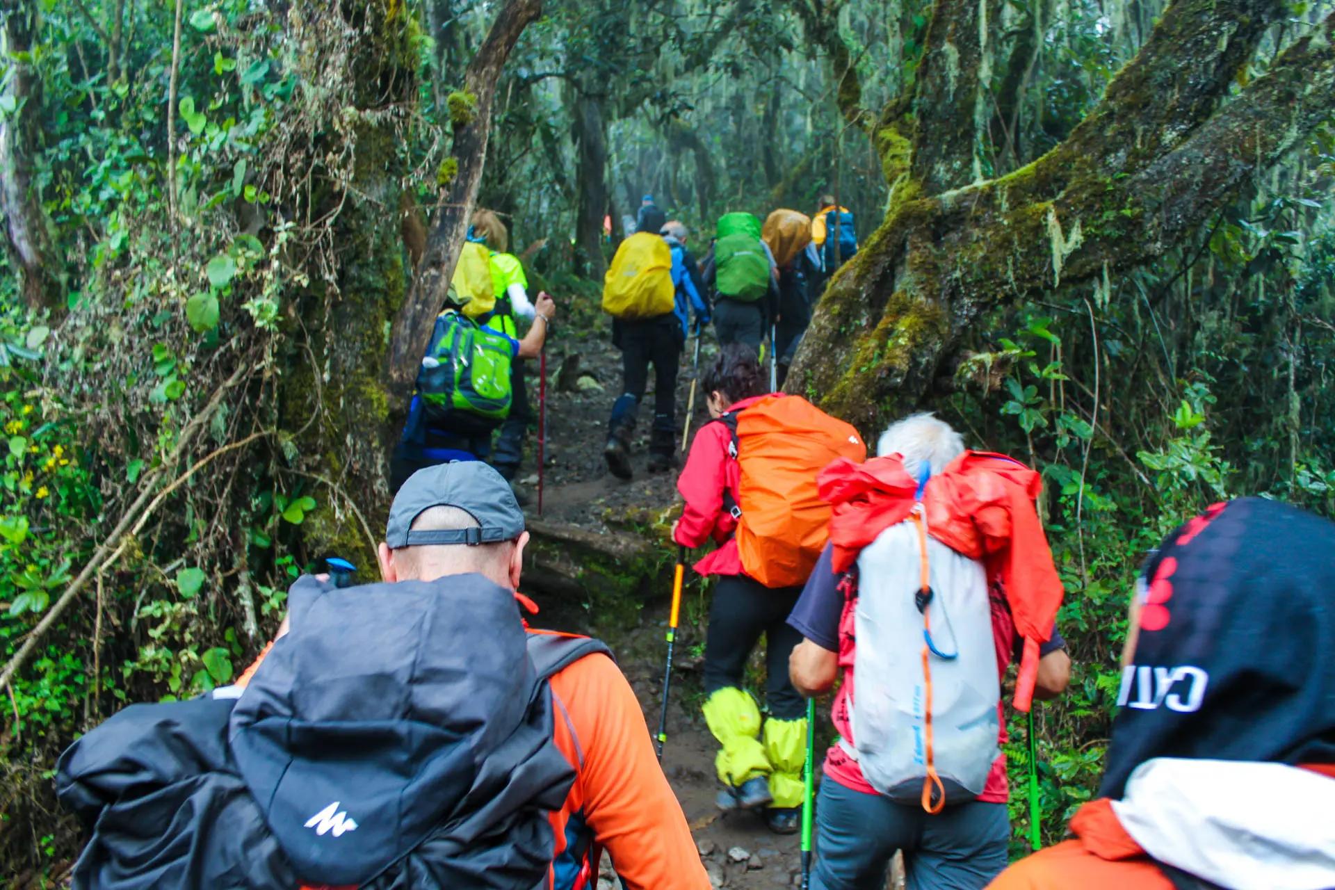 Map or view of the Kilimanjaro Machame Route