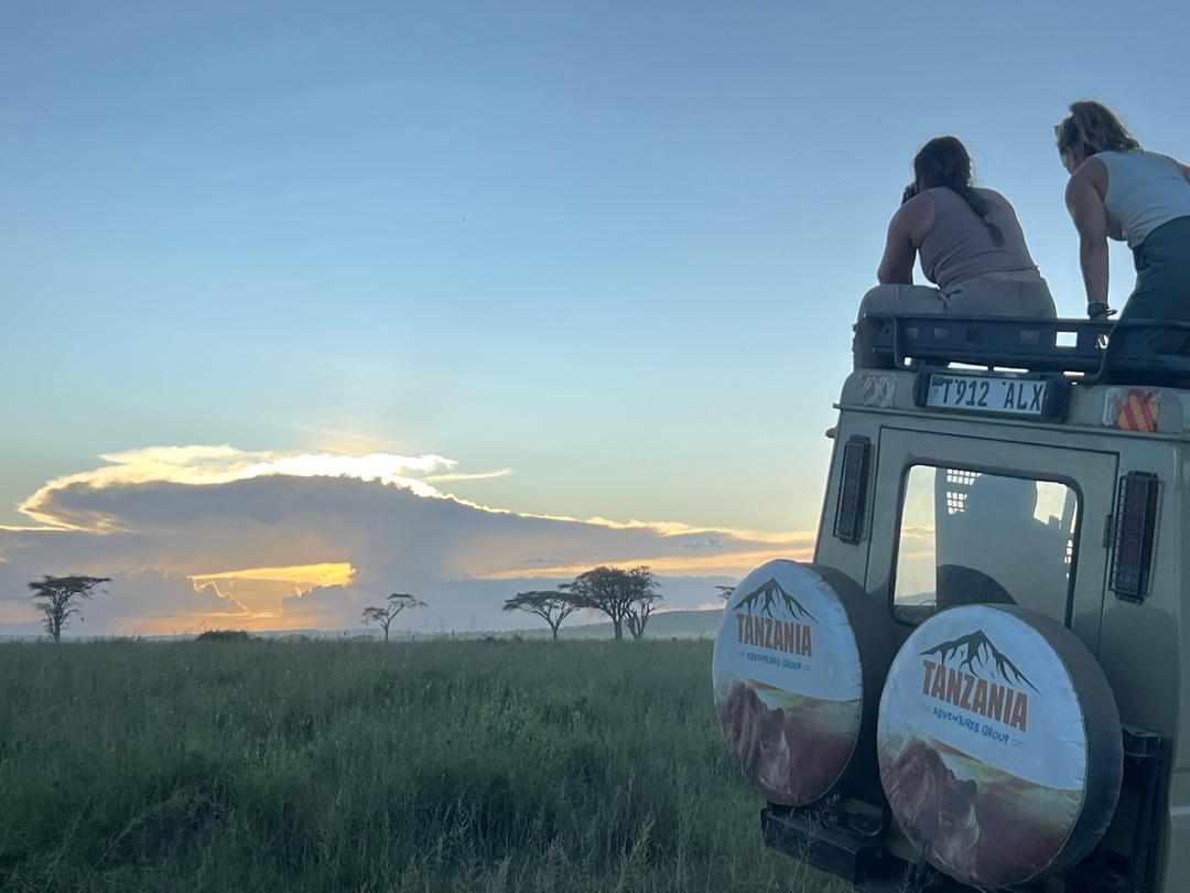 Private Serengeti game drives
