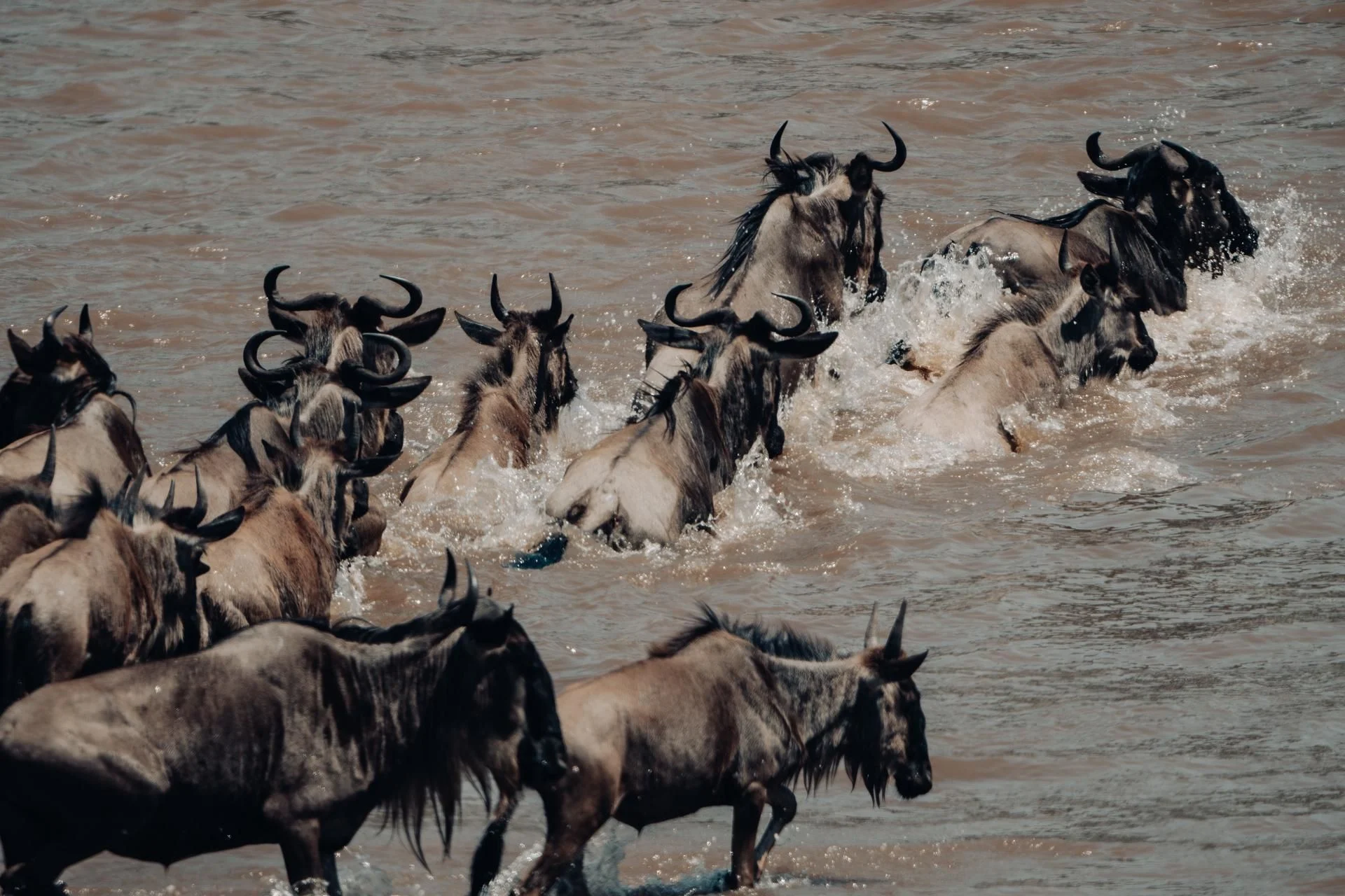Private safari or confirmed group