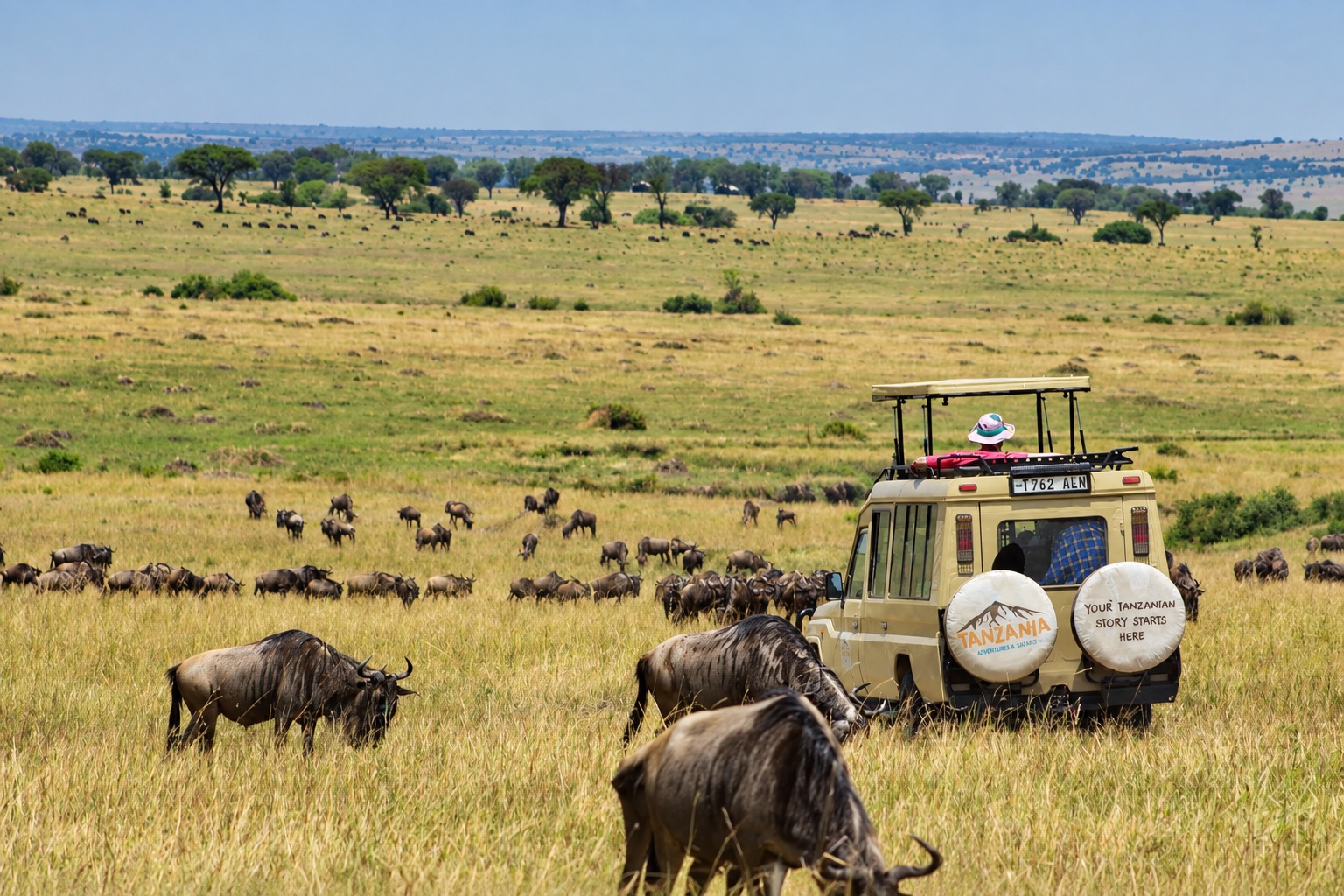 Return to Zanzibar or travel onward