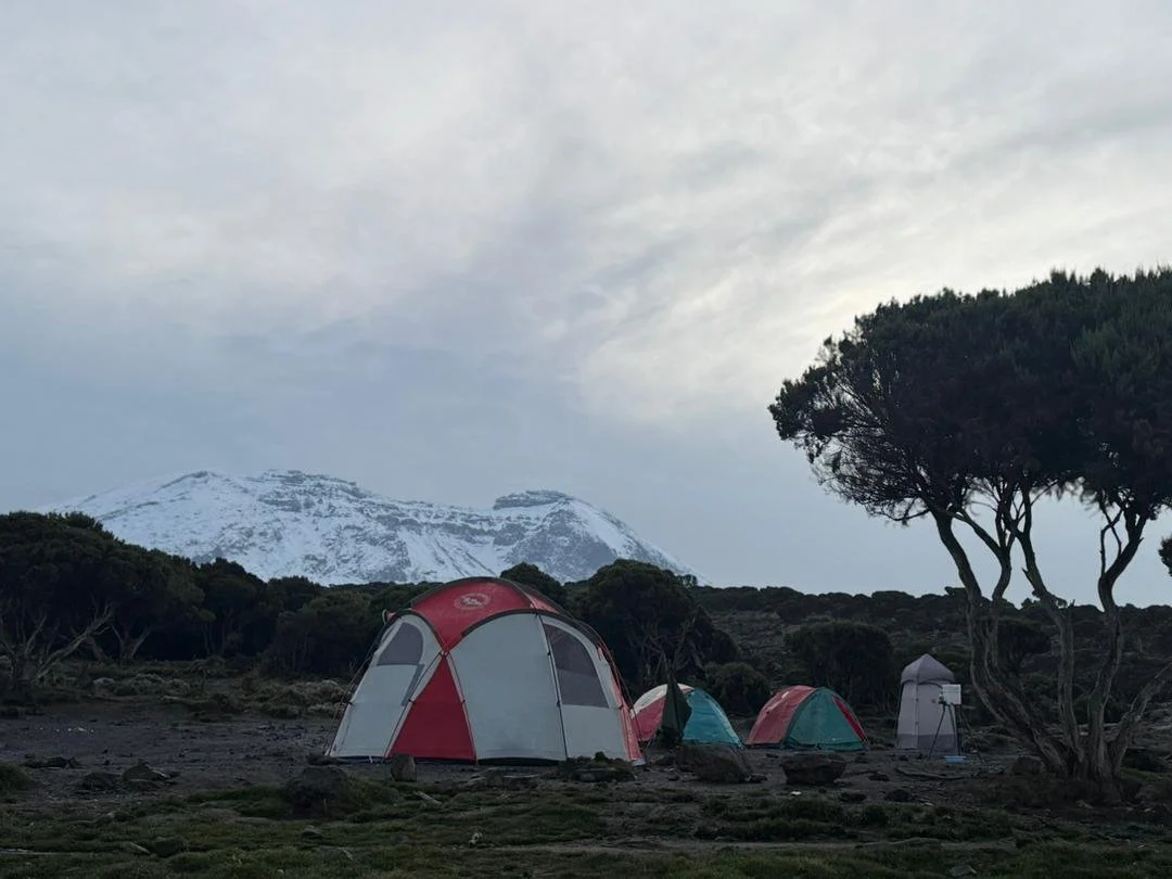 Trekkers climbing Kilimanjaro via the Lemosho Route