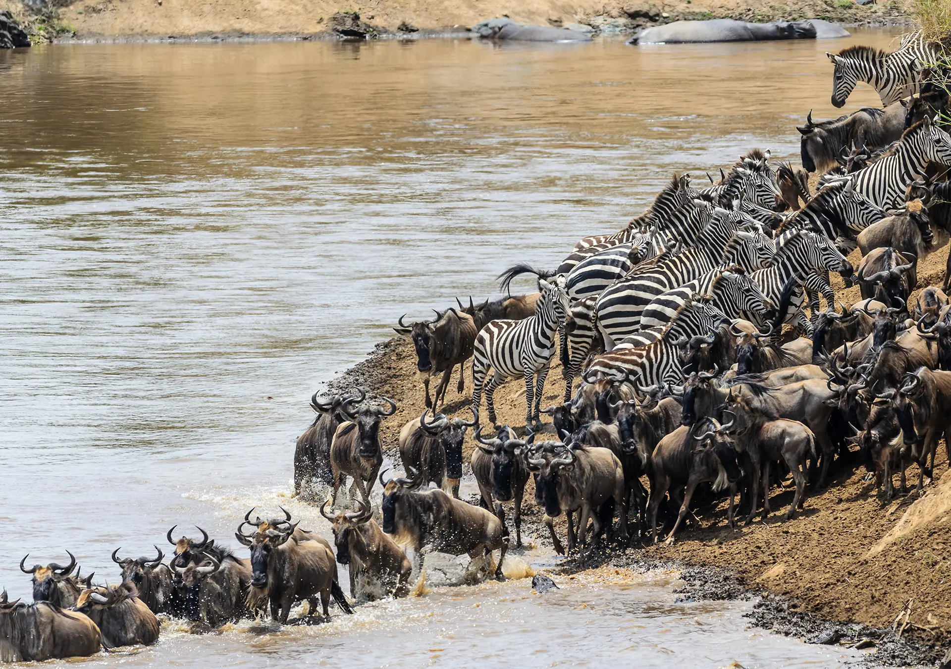 Flying into northern Serengeti