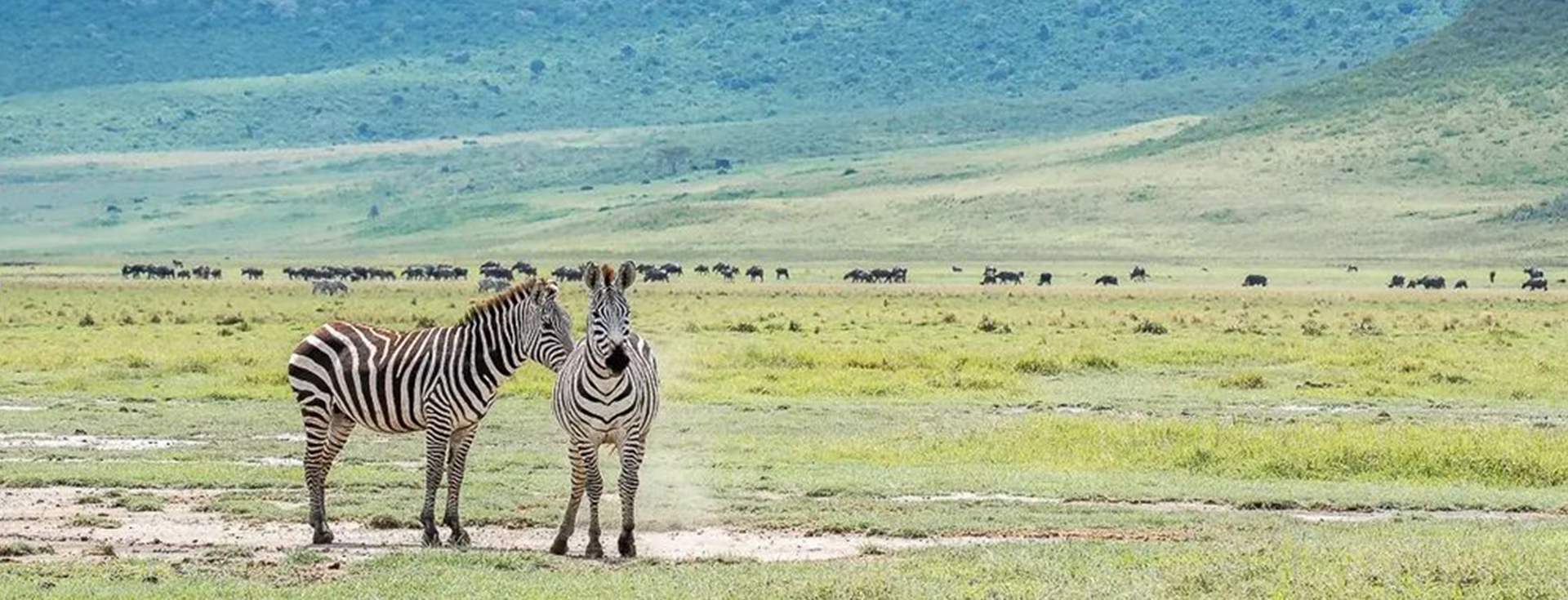 Fly from Zanzibar to the Serengeti