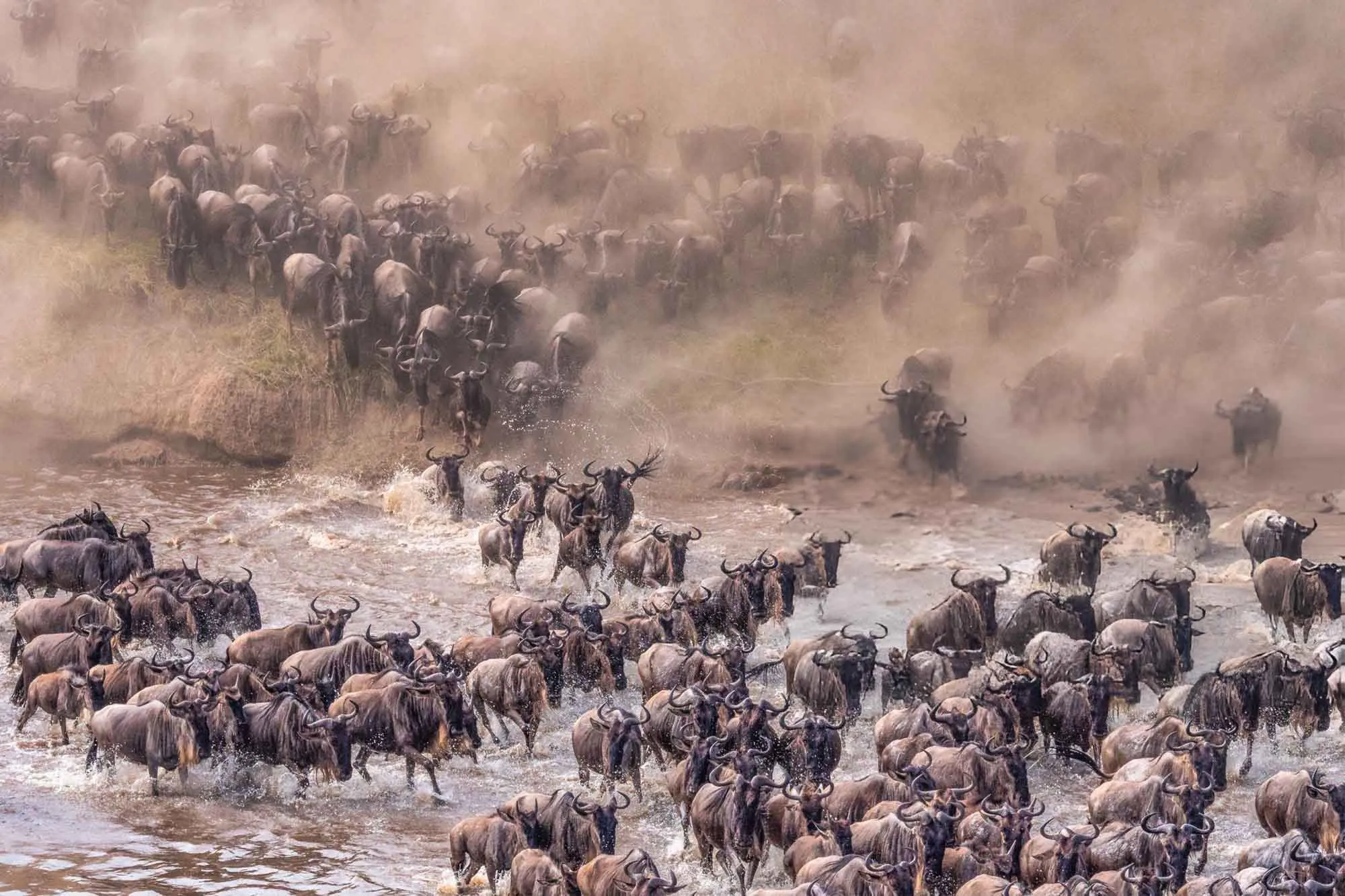 Plan for the Great Migration