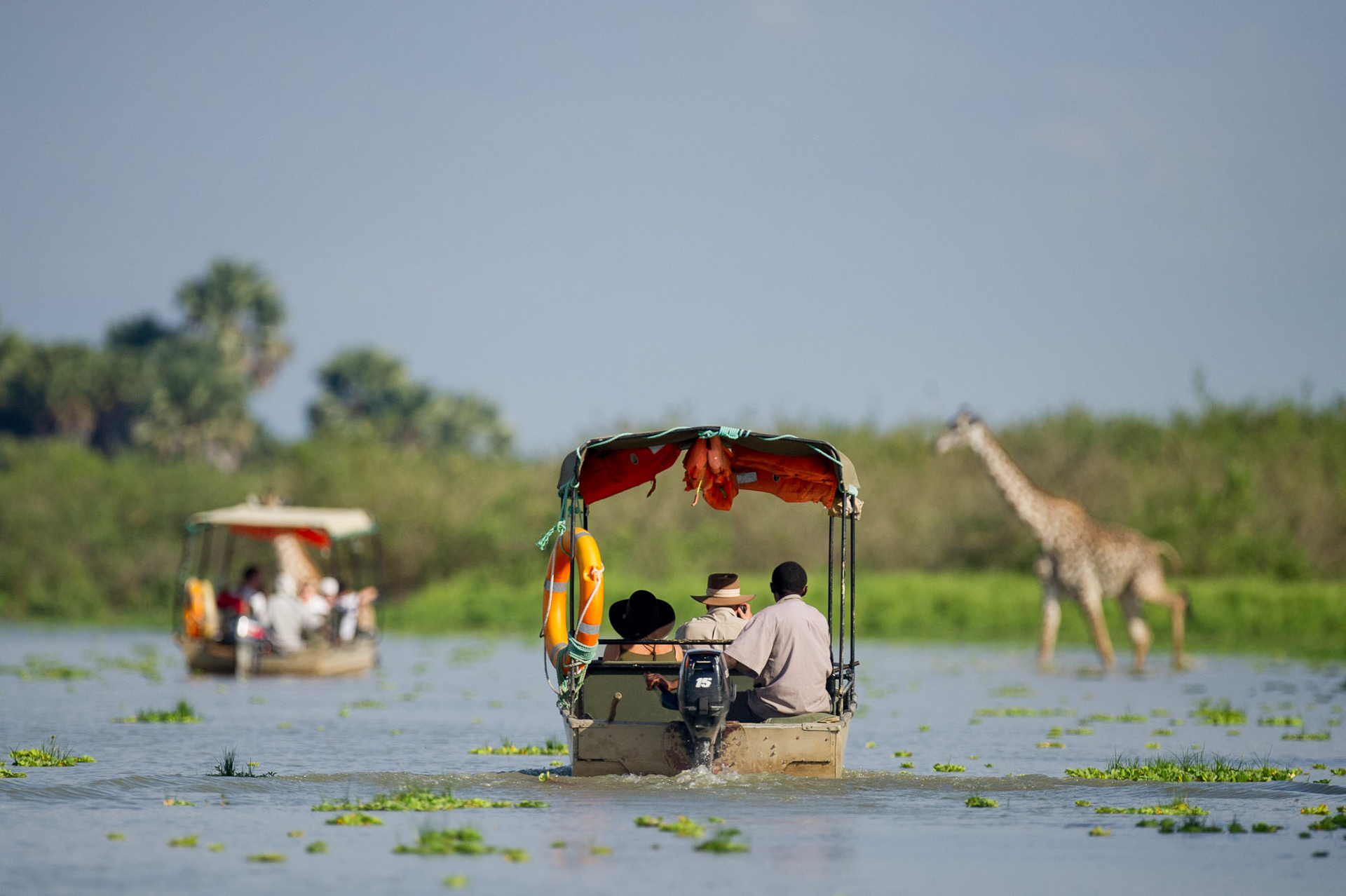 Wildlife safari from Zanzibar to Nyerere