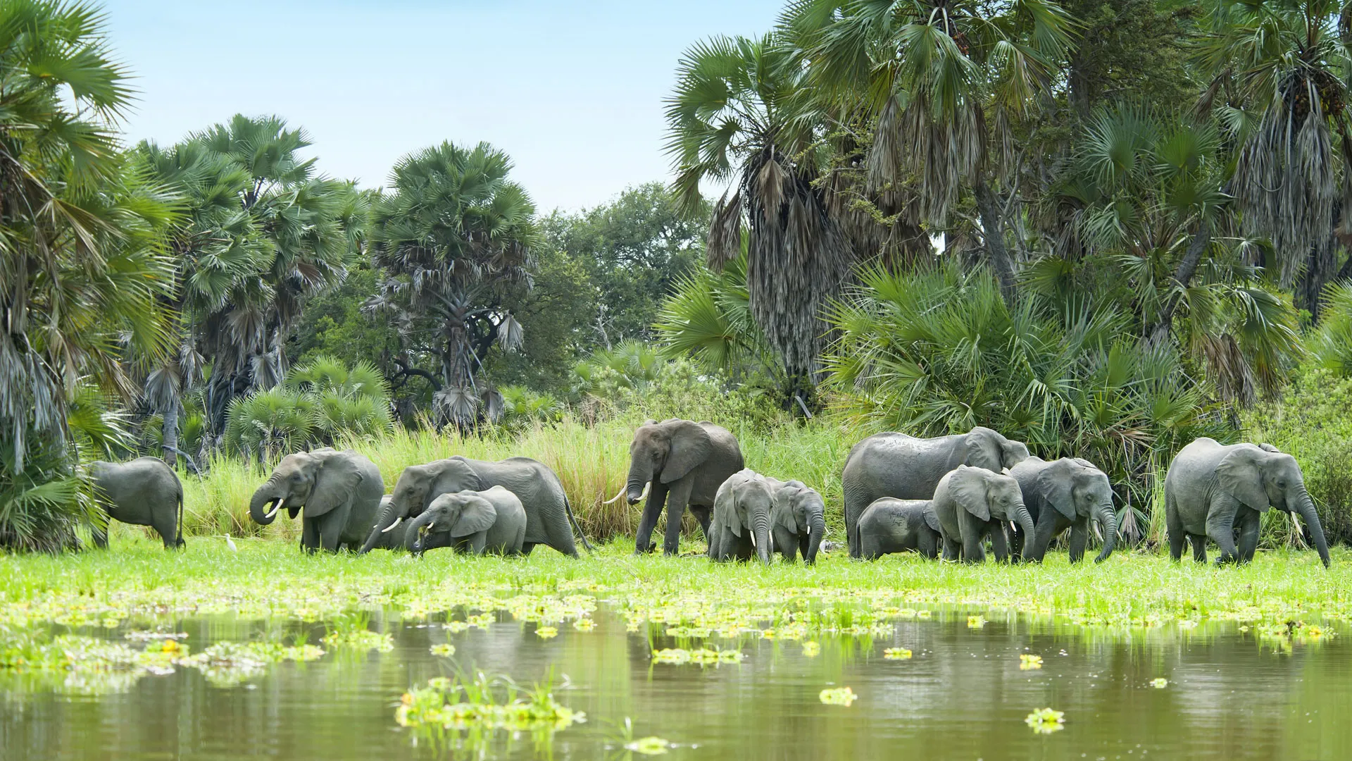 From Zanzibar to Nyerere