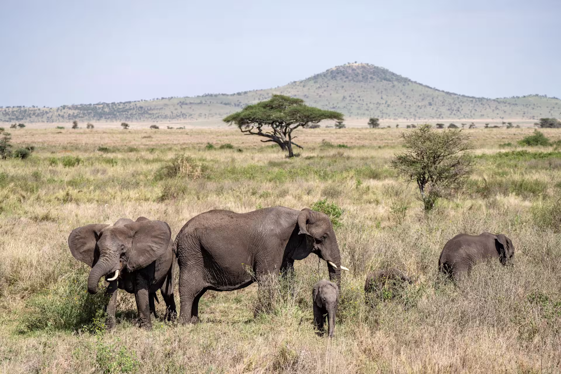 A journey shaped around you on a Tanzania luxury safari
