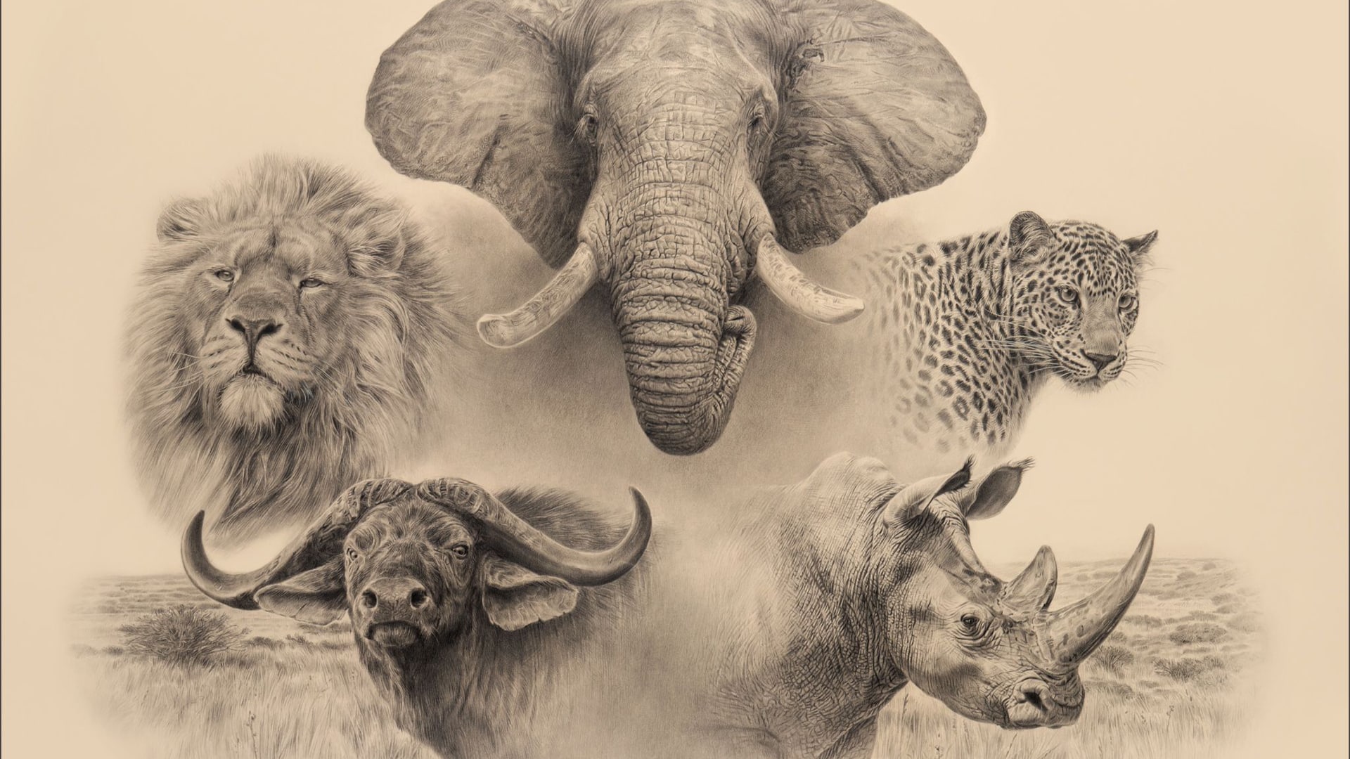 Private safari or joining group