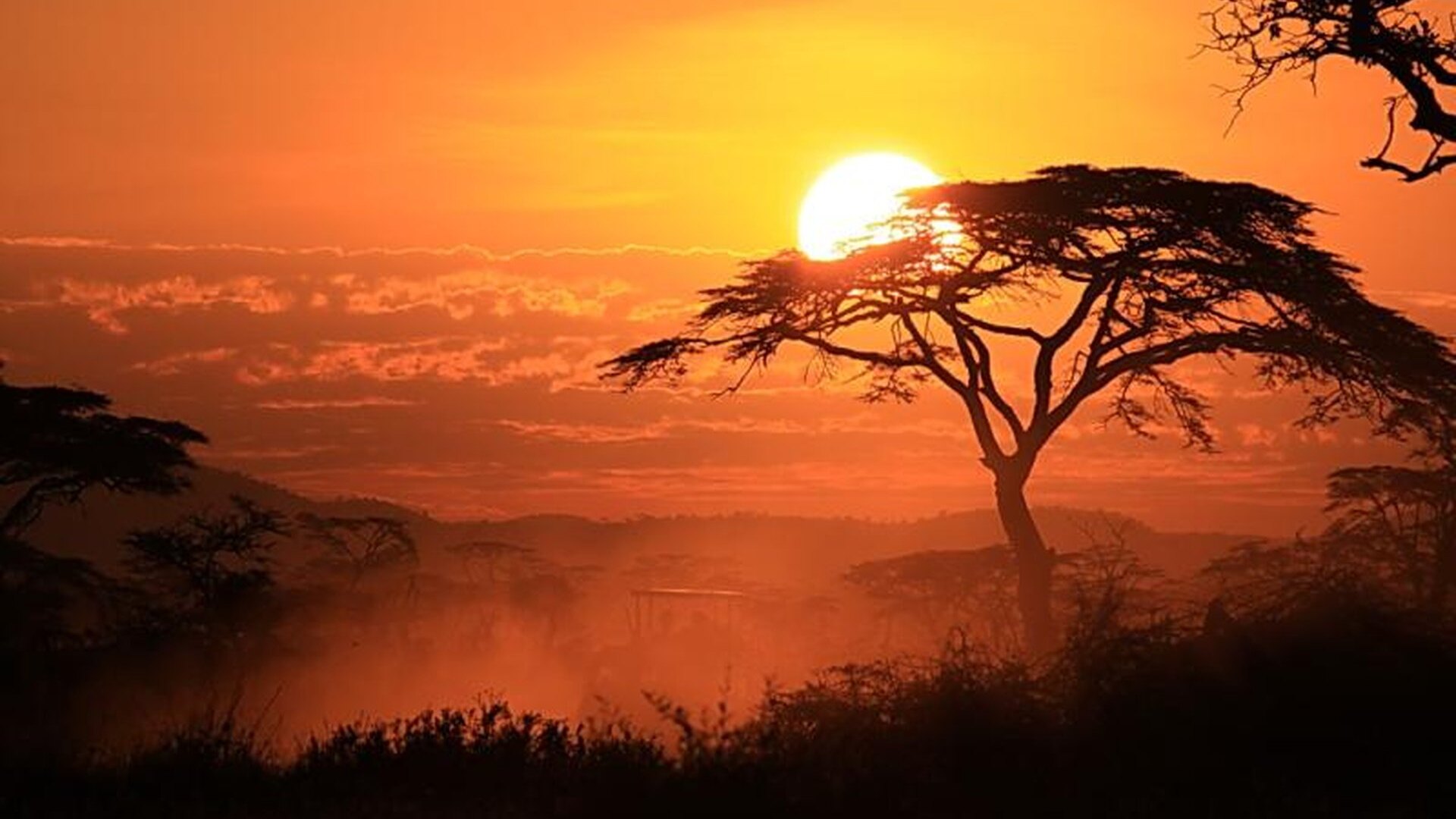 Serengeti with enough nights on a Tanzania family safari