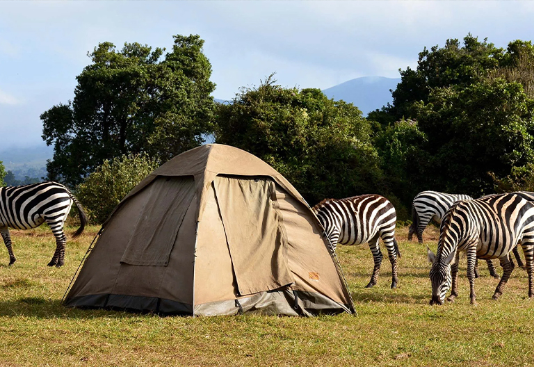 Camping and lodge departures