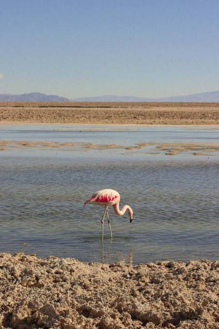 Lake Manyara and the highlands in Tanzania