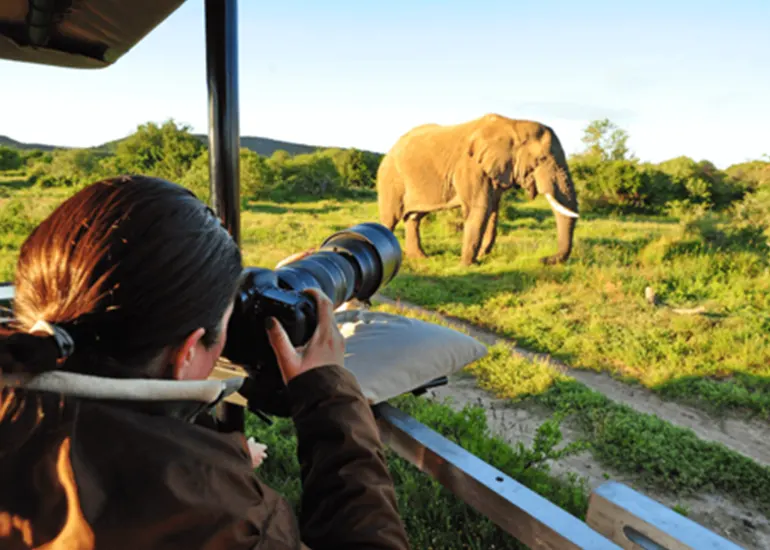 Photography and wildlife interests