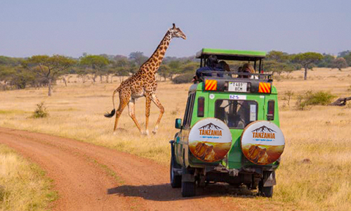3-Day Joining Safari 2027