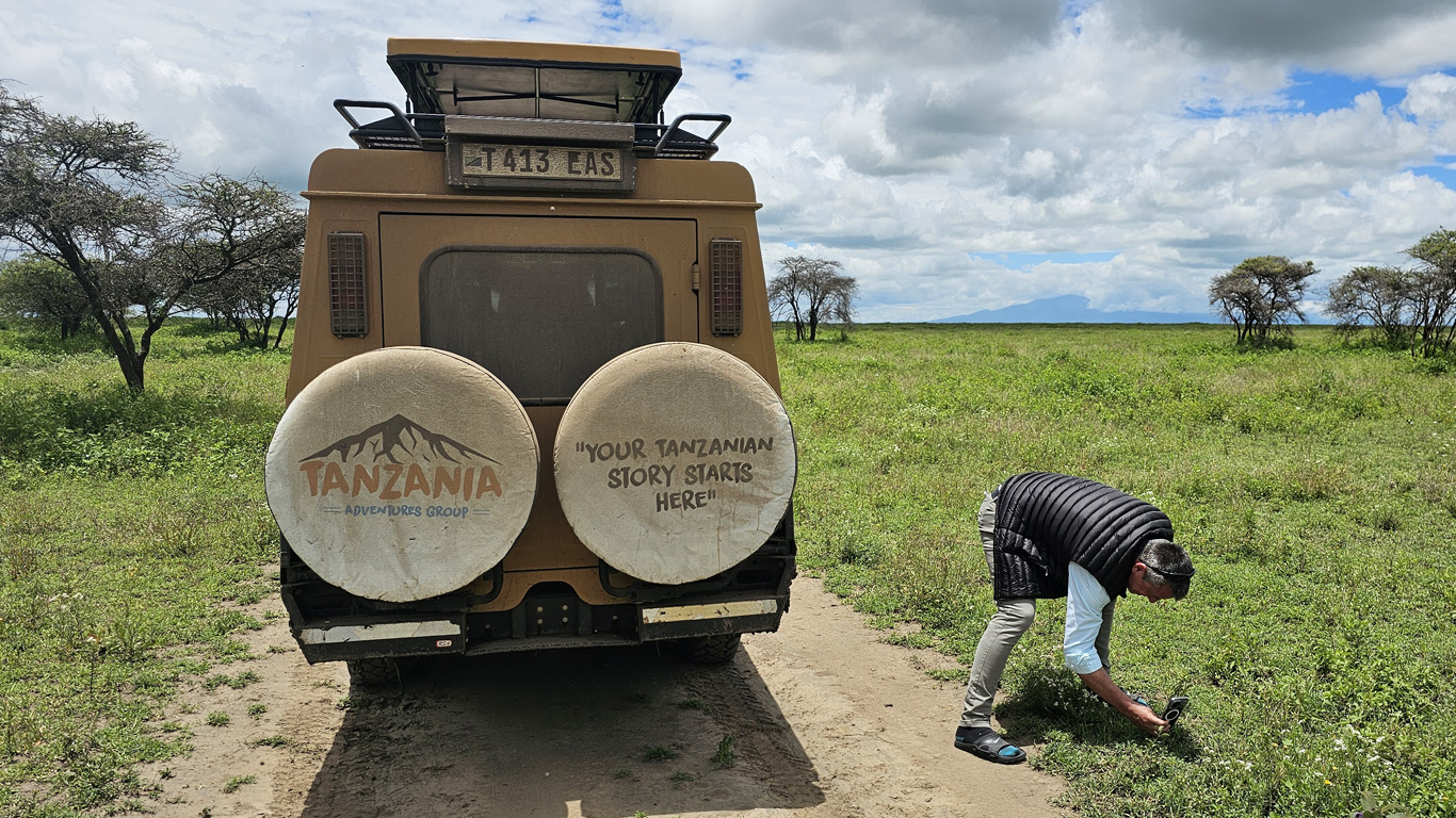 Plan a 2027 safari around your dates