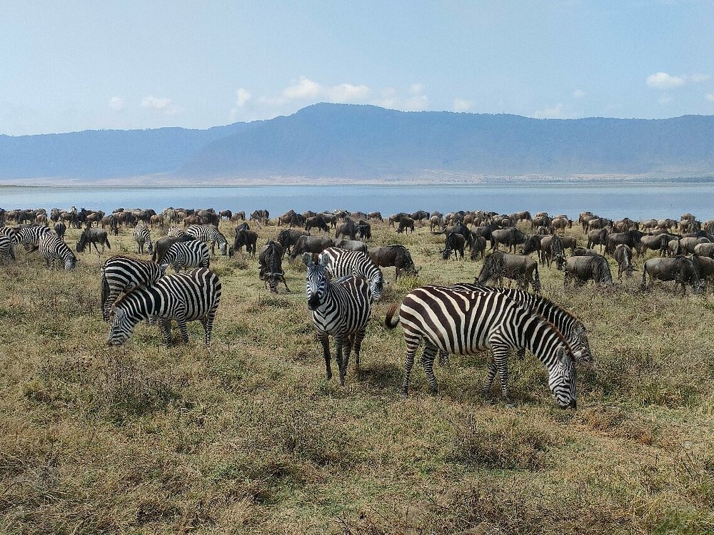 Extend your safari to Zanzibar