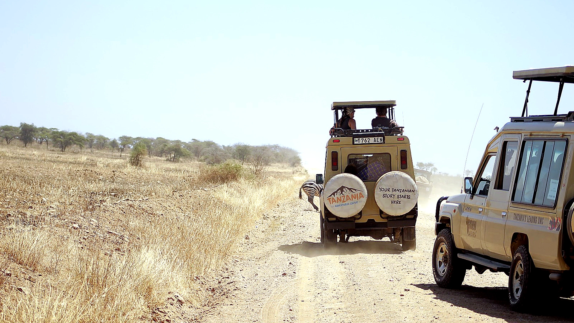 Serengeti safari for a Tanzania honeymoon