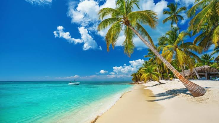 Zanzibar, Pemba, Mafia and the coast