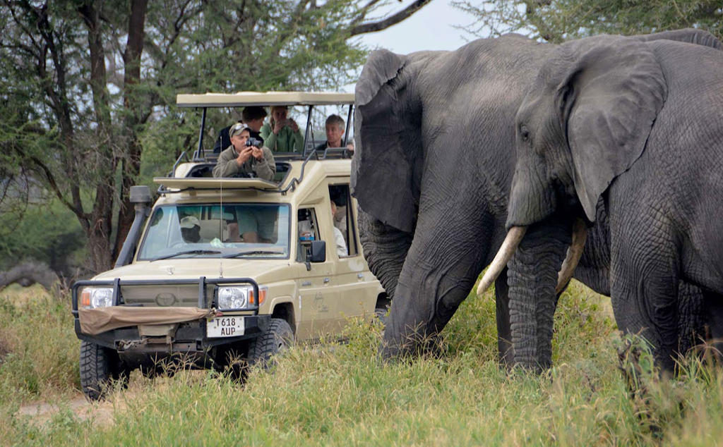  10 Days Tanzania Wildlife Safari and Zanzibar Holiday 2024-2025