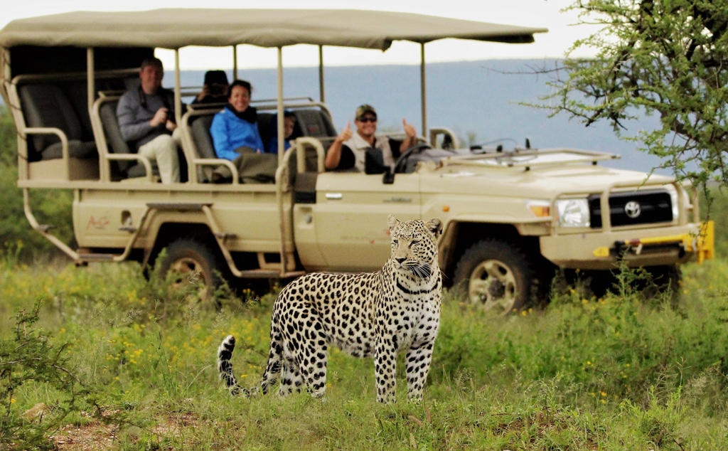 The Best 11 Days Tanzania Wildlife Safari And Zanzibar Holiday