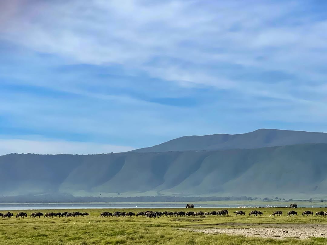 12-Day Tanzania Safari & Zanzibar Beach Holiday