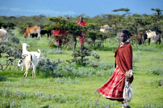 12-Day Tanzania Safari & Zanzibar Beach Holiday