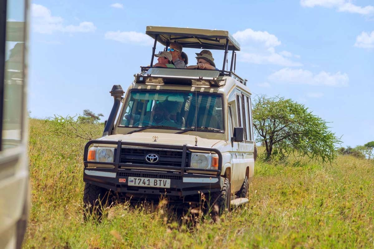 Exclusive 14-Day Tanzania Safari