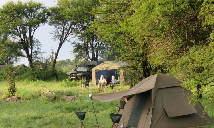 2 Days Premium Camping Tanzania Safaris and Beyond