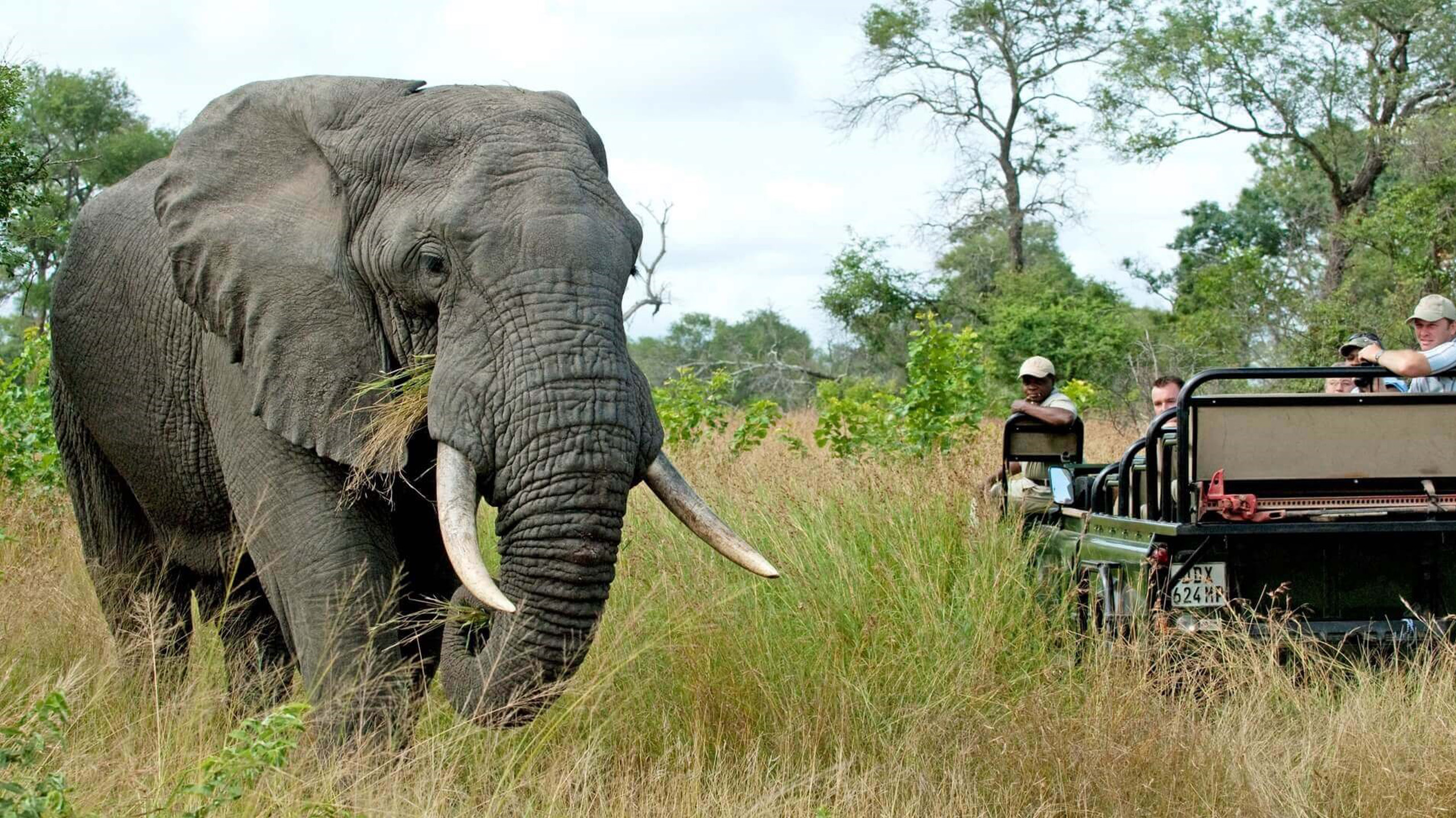 3-Day Fly-In Selous Safari from Dar es Salaam 