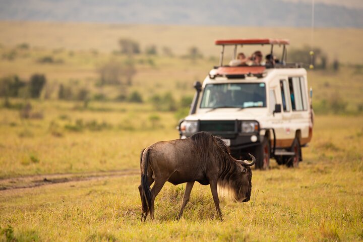 3-Day Fly-In Serengeti Safari from Dar es Salaam