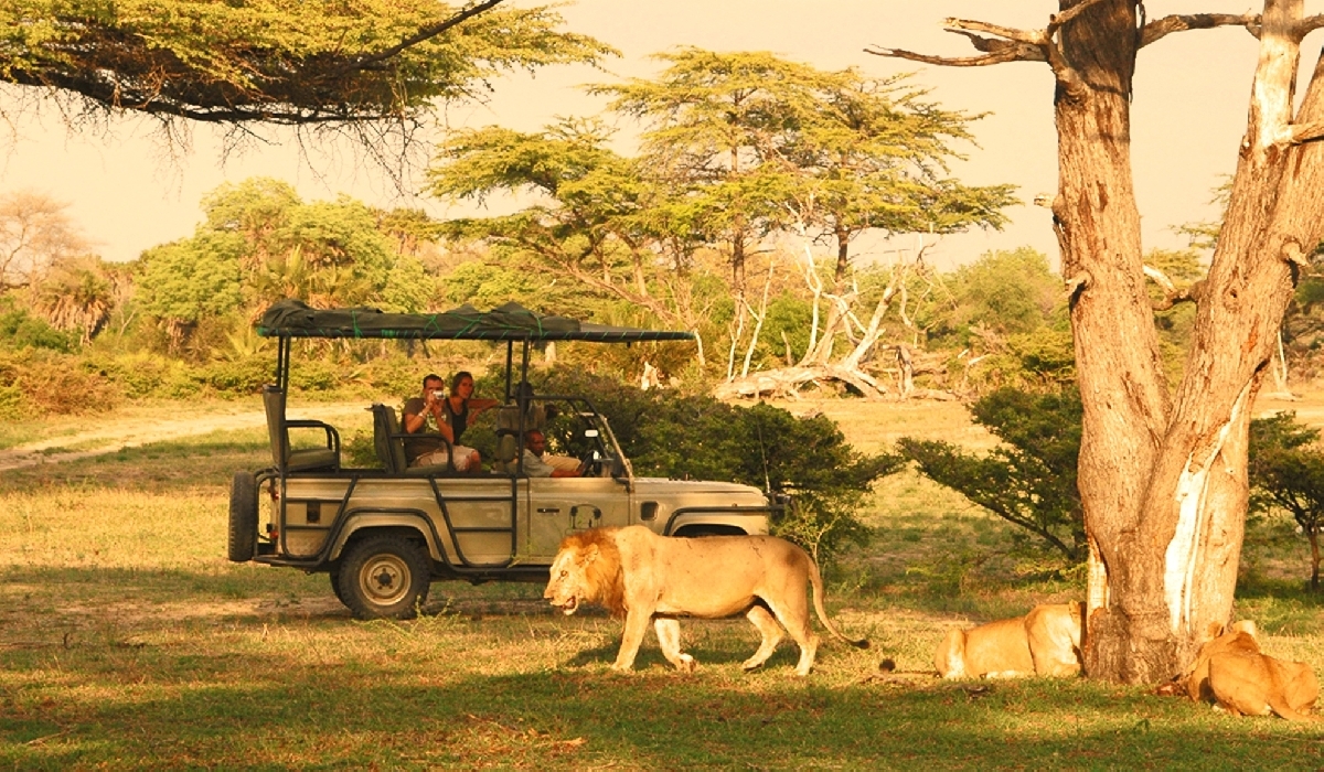 3 Days Luxury Fly-In Safari from Zanzibar to Nyerere National Park (Selous Safari Lodge) 3 Days Luxury Fly-In Safari from Zanzibar to Nyerere National Park (Selous Safari Lodge)
