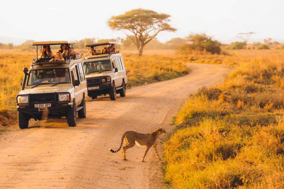 4-Day Best Tanzania group sharing safari tours