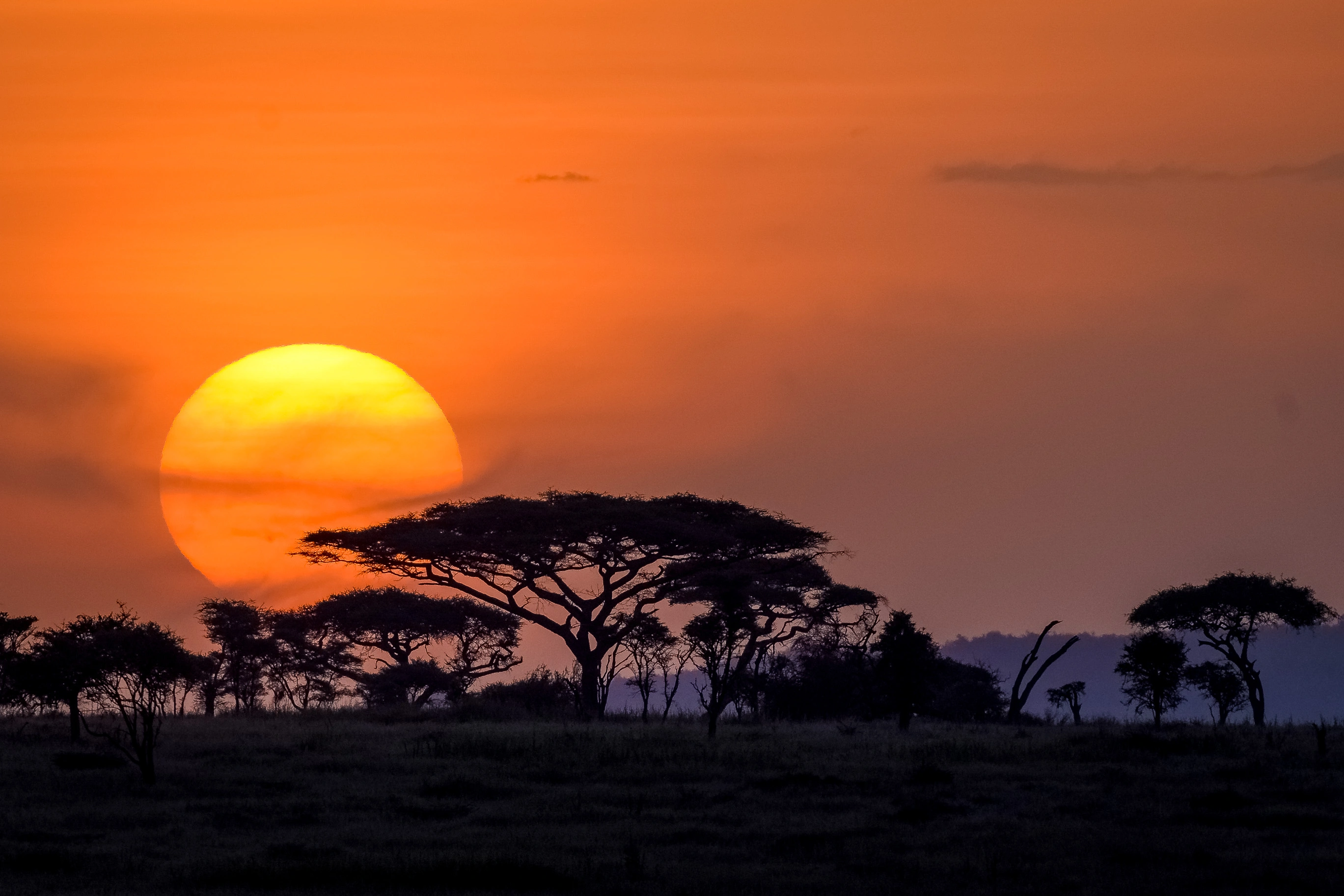 4 Days Exclusive Camping Safaris in Tanzania