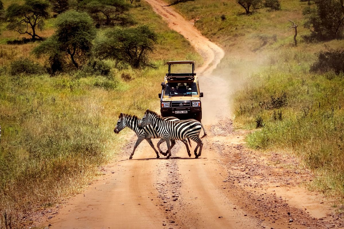 5-Day Luxury Tanzania Wildlife Tour