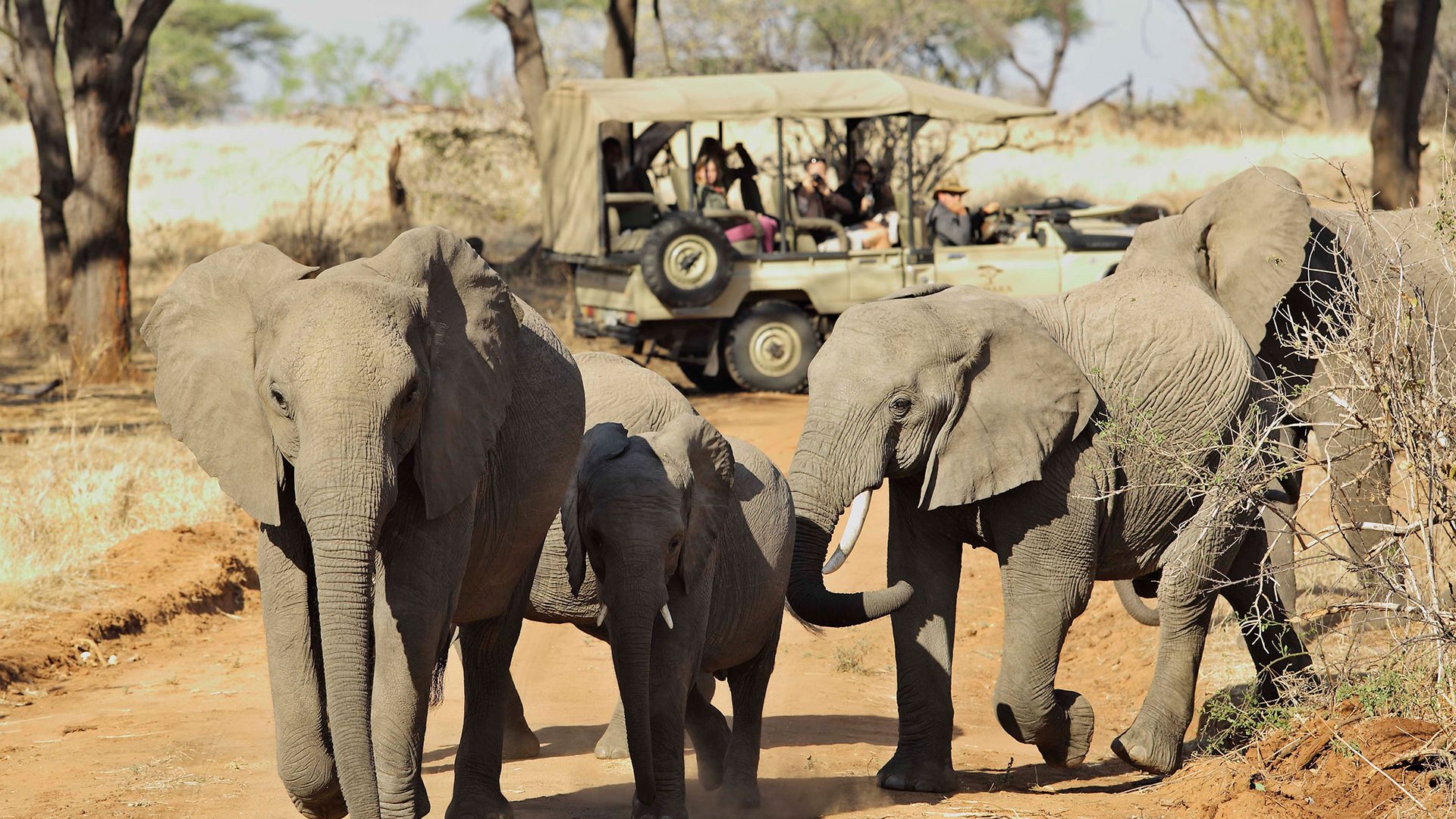 5 Days Luxury Fly-In Safari from Zanzibar to Nyerere & Ruaha National Parks