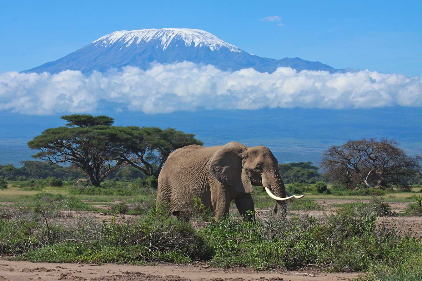 Luxury Serengeti & Kilimanjaro Trekking