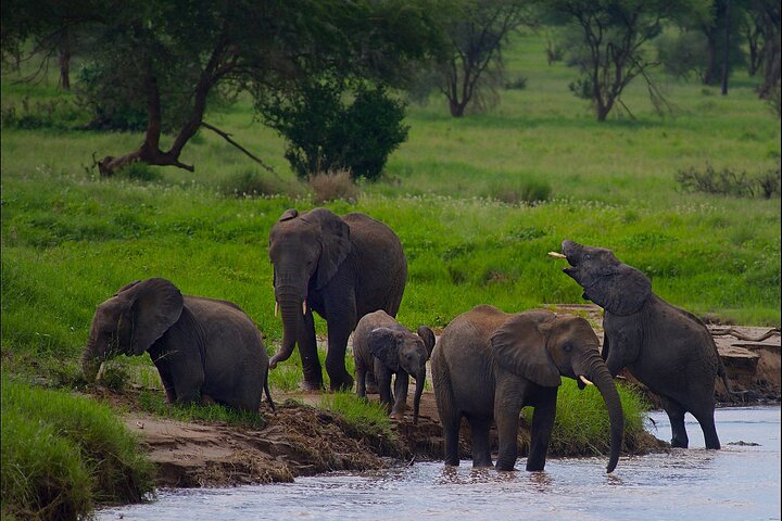 7-Day Tanzania Safari Experience Cultural