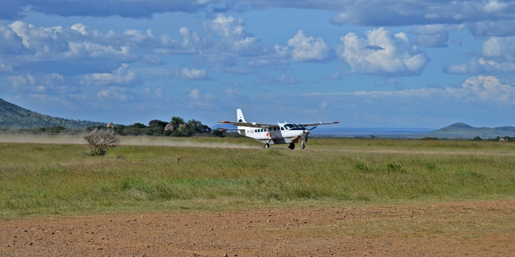 8-Day Serengeti Northern Migration Safari Adventure