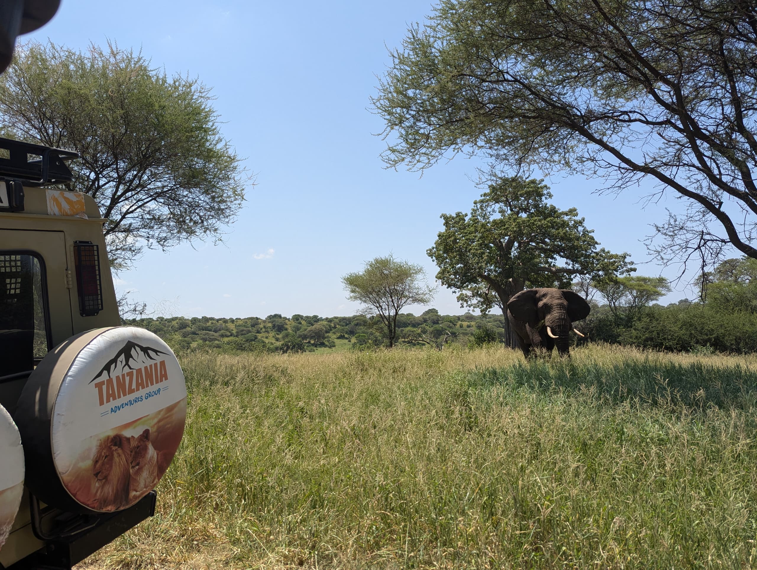 8-Day Serengeti Northern Migration Safari Adventure