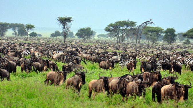 9-Day Tanzania Safari Itinerary