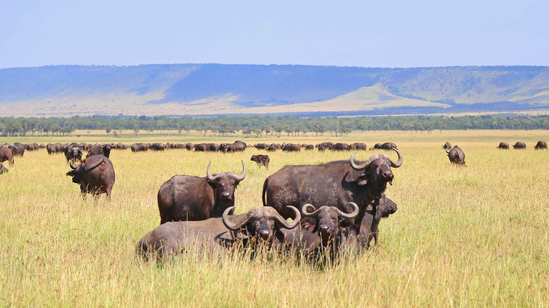 9-Day Tanzania Safari Itinerary