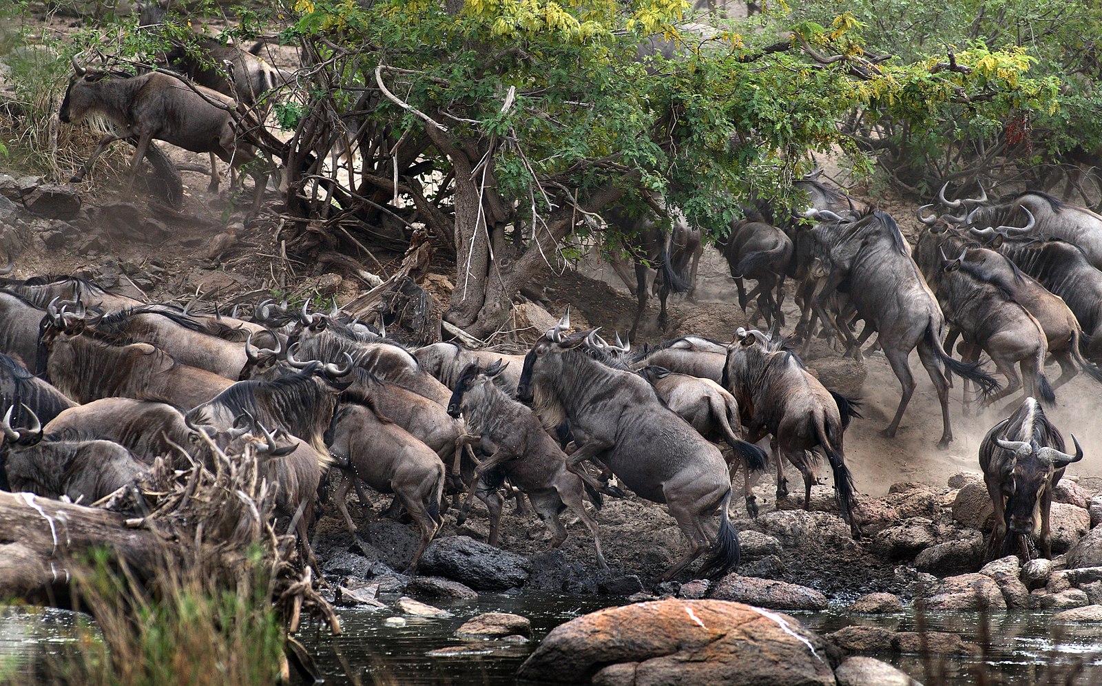 9-Day Tanzania Safari Itinerary