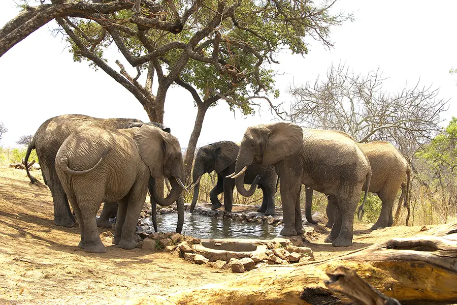 9-Day Tanzania Safari Itinerary