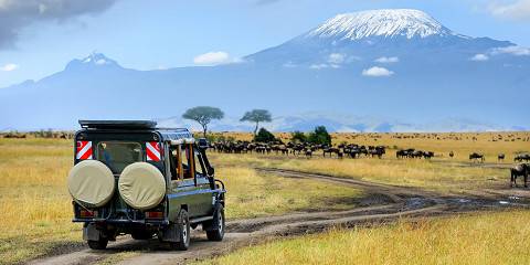 Nairobi National Park + Amboseli combo 2026