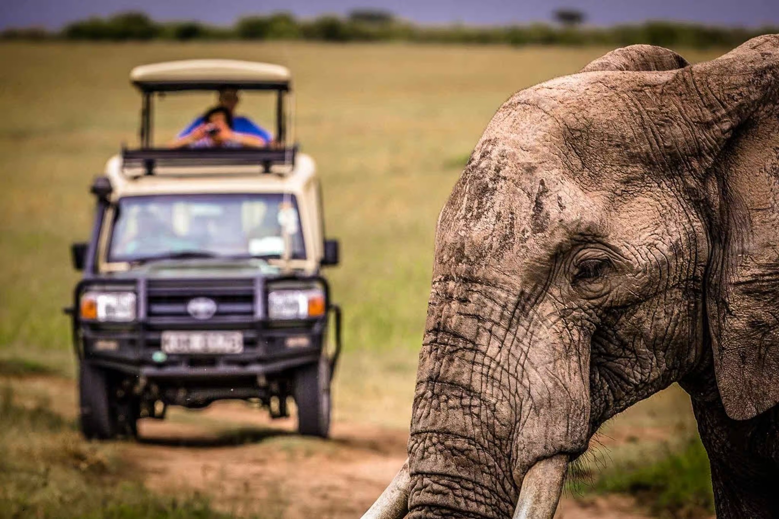 Exclusive 14-Day Tanzania Safari