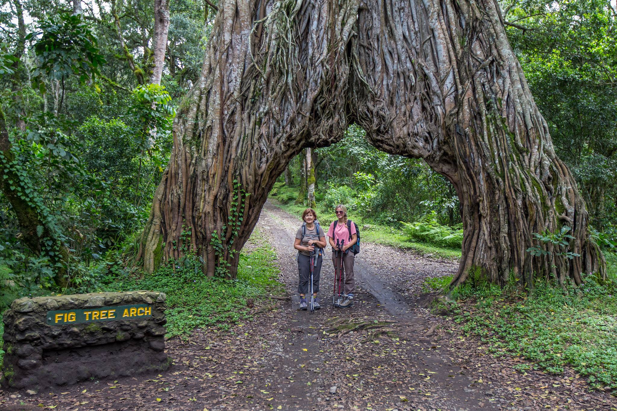 2 Days Arusha National Park and Materuni Waterfalls Package