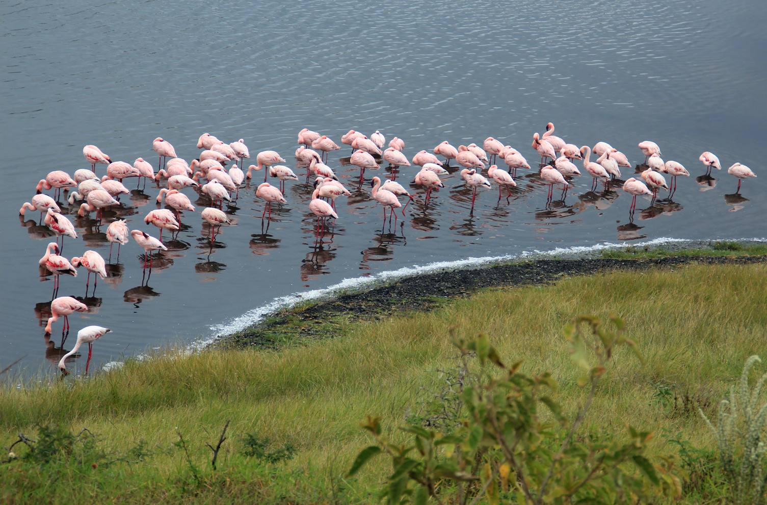 Arusha NP + Canoeing at Lake Momella