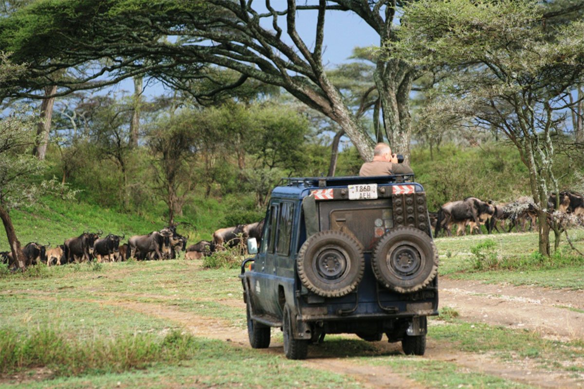 4-Day Tanzania Safari from Zanzibar